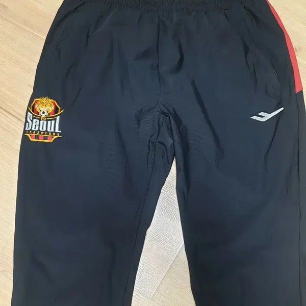 [BUNJANG] FC Seoul Park Sung-ho Signed Shorts XL / FC서울 박성훈친필싸인 반바지XL