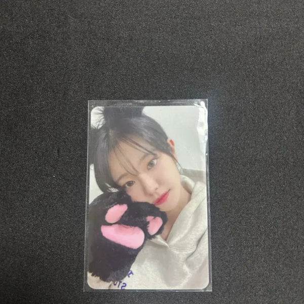 [BUNJANG] QWER CHODAN Discord POB / QWER 쵸단 디스코드 냥이 미공포 입니다