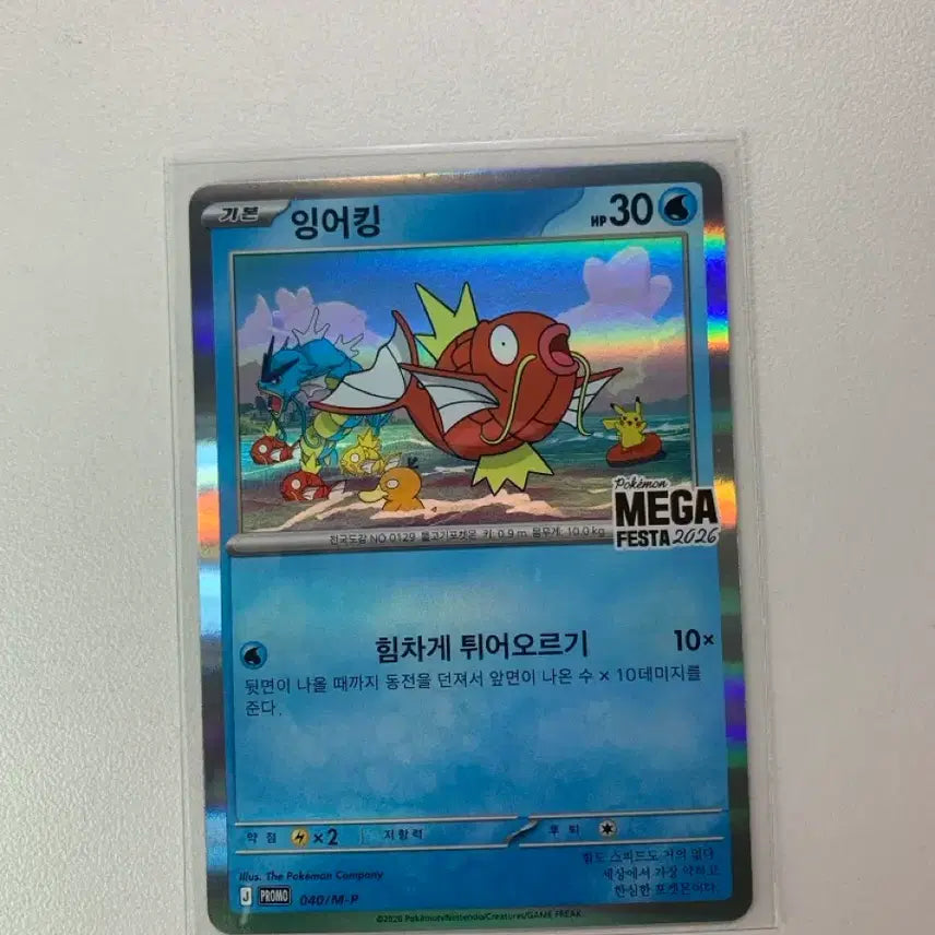 [BUNJANG] Magikarp Promo Card / 잉어킹 프로모 카드