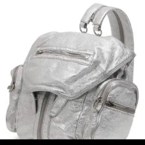 [BUNJANG] Alexander Wang 2-Way Backpack Silver / 알렉산더왕 2way 백팩 실버 정품