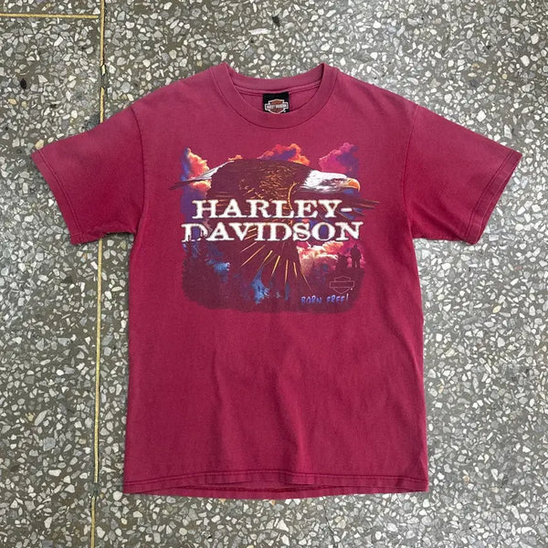 [BUNJANG] 90s Harley Davidson Eagle Route 66 Faded T-Shirt - Size M / 90s 할리데이비슨 이글 루트 66 페이디드 티셔츠 M