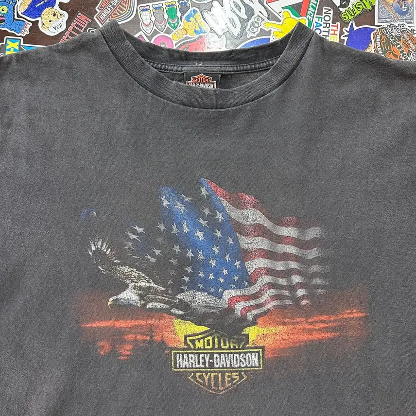 [BUNJANG] Early 00s Harley Davidson Eagle Lightning Faded T-Shirt XL / Early 00s USA 할리데이비슨 이글 라이트닝 페이디드 티셔츠 XL