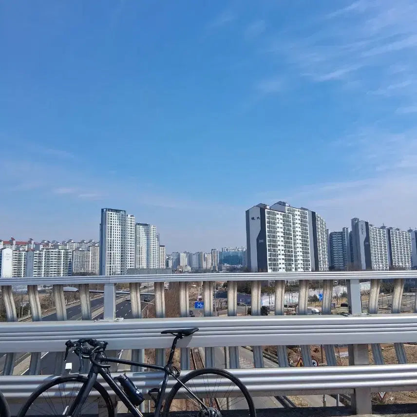 [BUNJANG] Merida Scultura 100 2025 Road Bike / 메리다 스컬트라 100 25년식