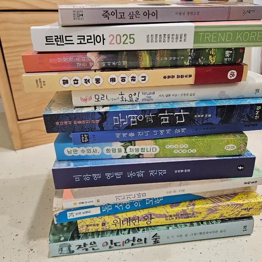 [BUNJANG] Various Books / 여러가지 책