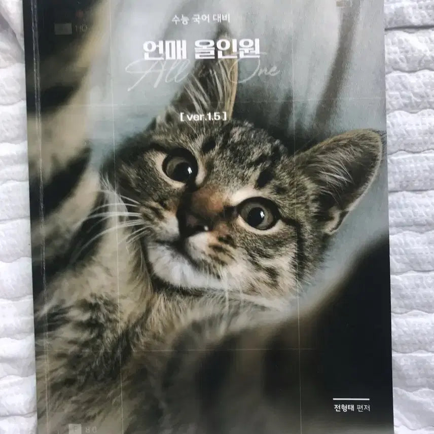 [BUNJANG] Jeon Hyungtae Korean Grammar All-in-One (2025 CSAT Preparation) / 27수능 대비 전형태 언매 올인원