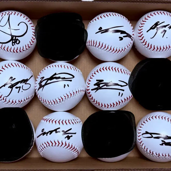[BUNJANG] Samsung Lions Signed Baseball / 삼성라이온즈 싸인볼