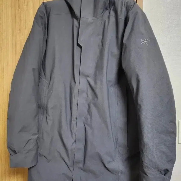[BUNJANG] Arc'teryx Torsen Men's Parka / 아크테릭스 토르센 구스다운파카 L