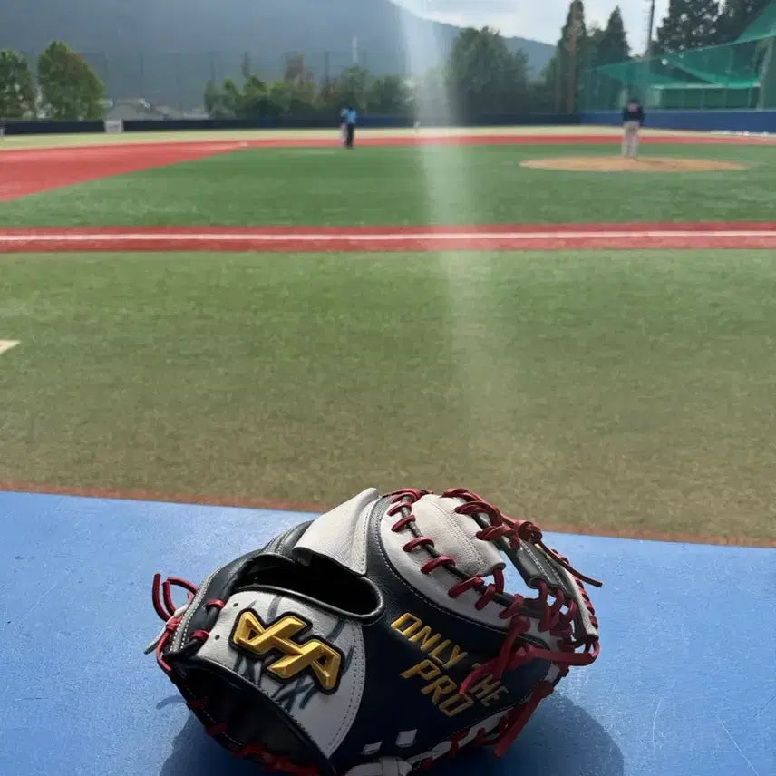[BUNJANG] Hattakeyama Pro-M8 Ryu Kang-nam Reversible Catcher's Mitt / 하타케야마 pro-M8 유강남 리버스 배색포수미트 교환합니다 (판매X)