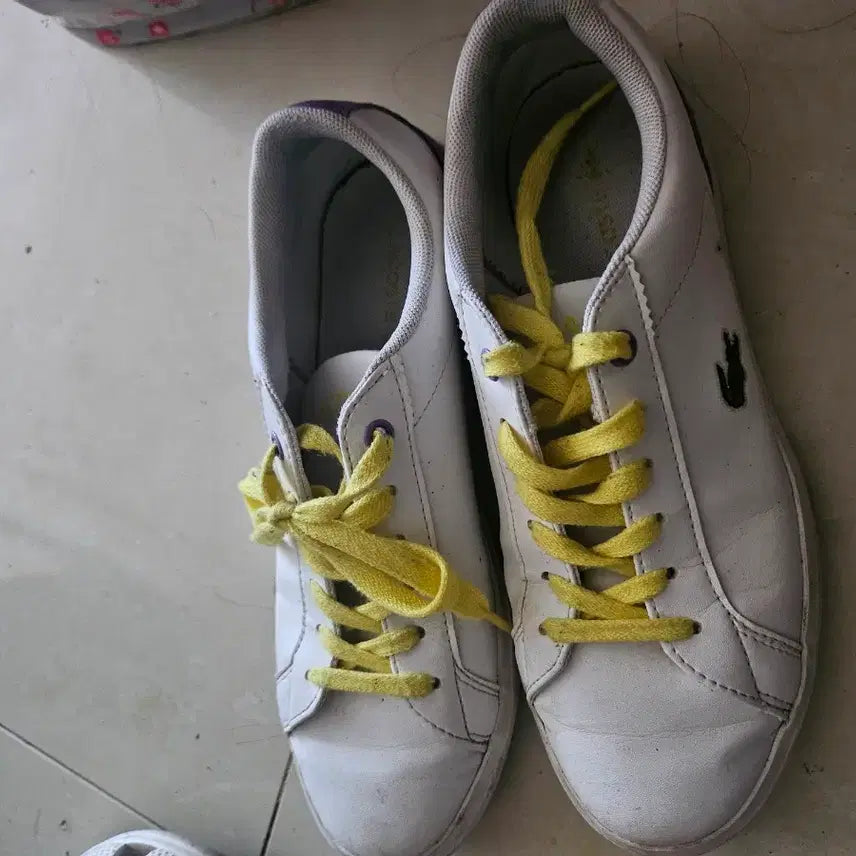 [BUNJANG] Lacoste Sneakers / 라코스테운동화210.220