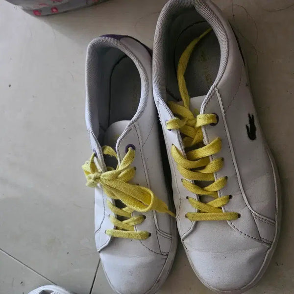 [BUNJANG] Lacoste Sneakers / 라코스테운동화210.220