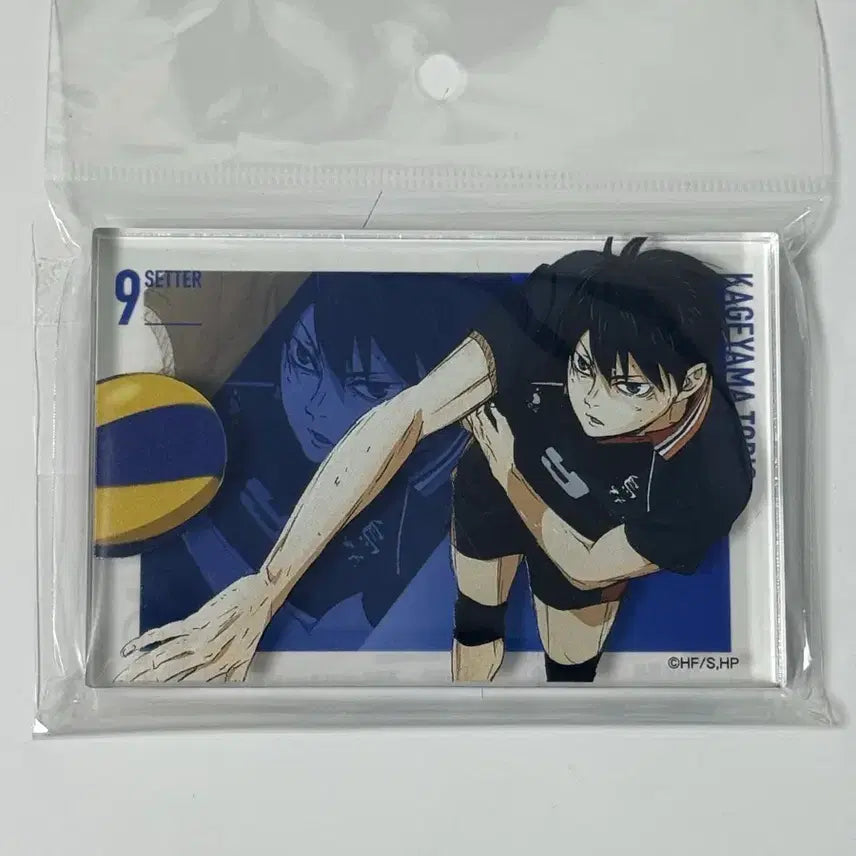 [BUNJANG] Tobio Kageyama Acrylic Block / 카게야마 토비오 아크릴 블럭
