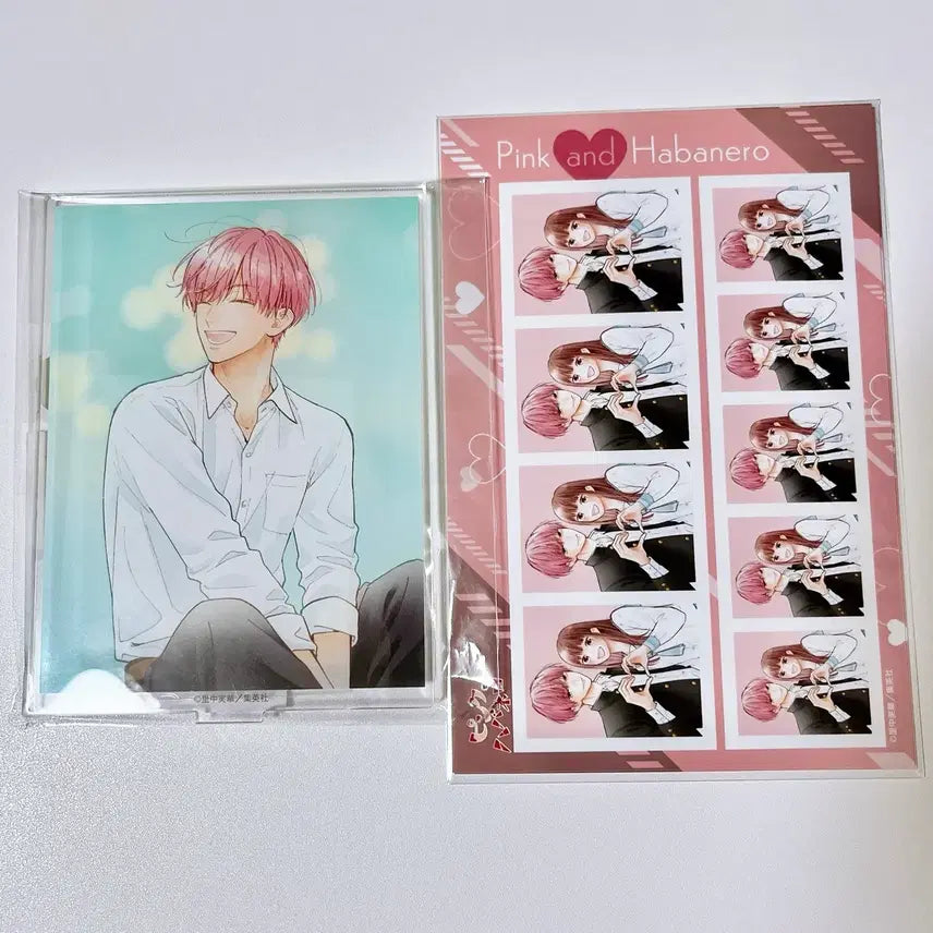 [BUNJANG] Pink & Habanero Kuji Mate Acrylic Stand and Photo Card Bundle Set / 일괄) 핑크와하바네로 쿠지메이트 아크릴 스탠드 증명사진 증사 굿즈 카드
