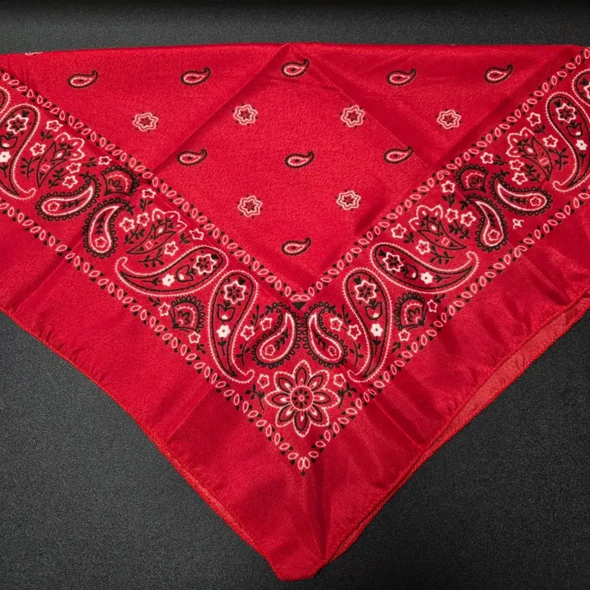 [BUNJANG] American Vintage Bandana Scarf / American vintage 반다나 스카프