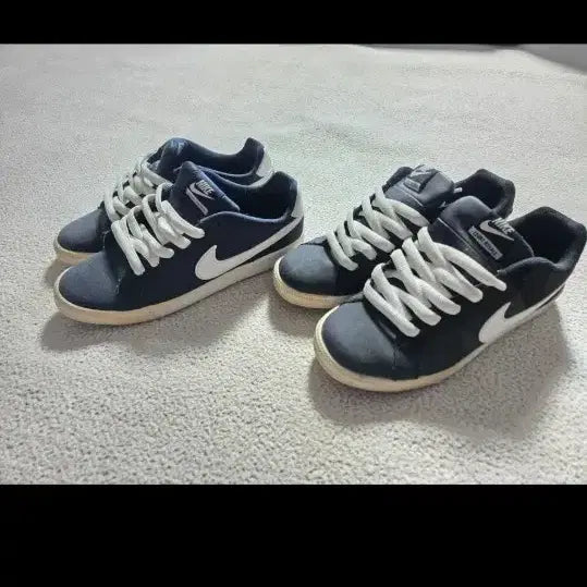 [BUNJANG] Nike Running Shoes / 나이키운동화 250