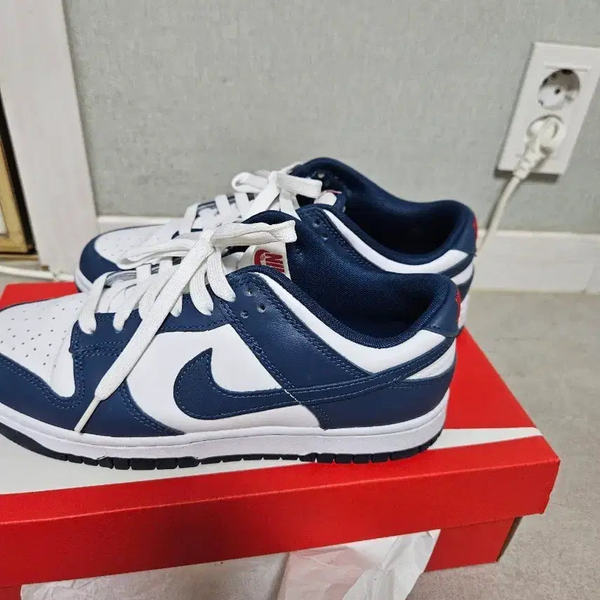 [BUNJANG] Nike Dunk Retro Valeine Blue / 나이키 덩크 레트로 발레라인 블루