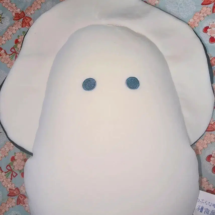 [BUNJANG] Tsuburana Oyster Plush / 일본 츠부라나 굴인형