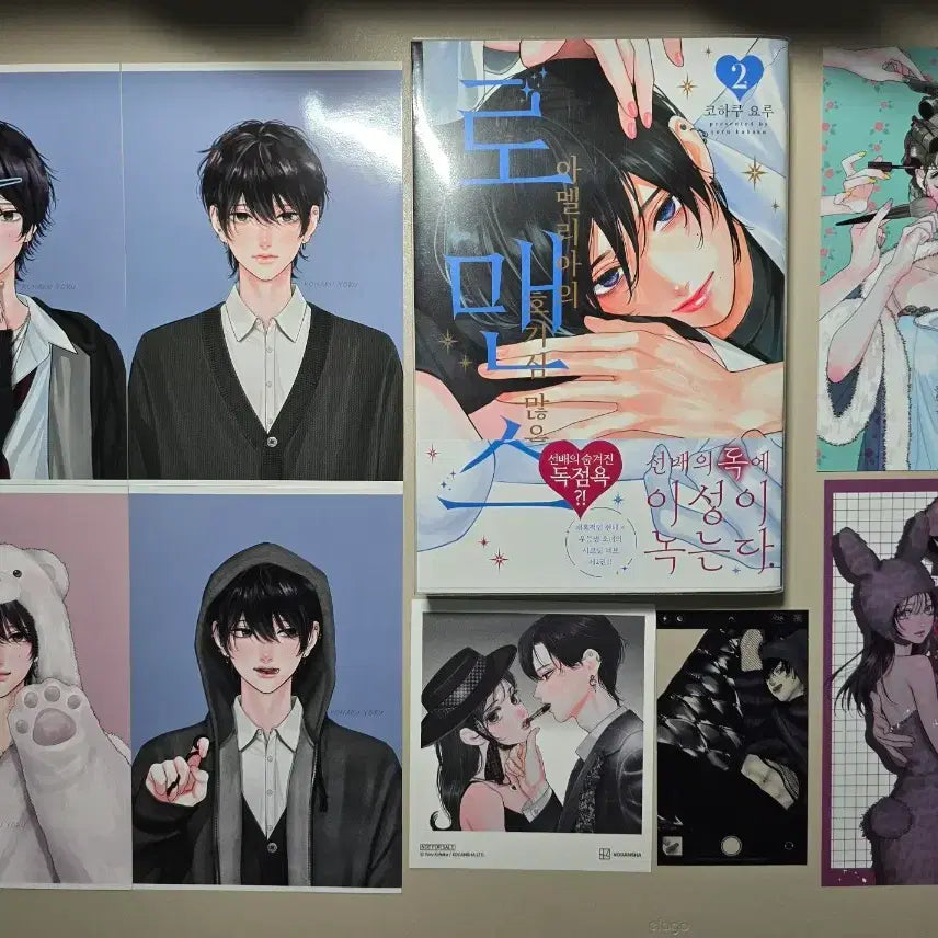 [BUNJANG] Curious Romance of Amelia Vol. 2 First Edition with 4 Photo Cards / 초판) 아멜리아의 호기심많은 로맨스 2권 + 프박4장 순정만화