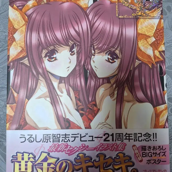 [BUNJANG] Satoshi Urushihara Artbook Pi First Edition / 우루시하라 사토시 화집 파이  초판
