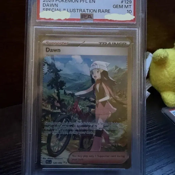 [BUNJANG] Pokemon TCG North America 2025 Shining Illustration Rare Card PSA 10 / PSA 10 포켓몬스터 북미판 2025 빛나