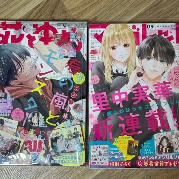 [BUNJANG] Hana To Yume & Margaret Magazines / 하나토유메 마가렛 잡지