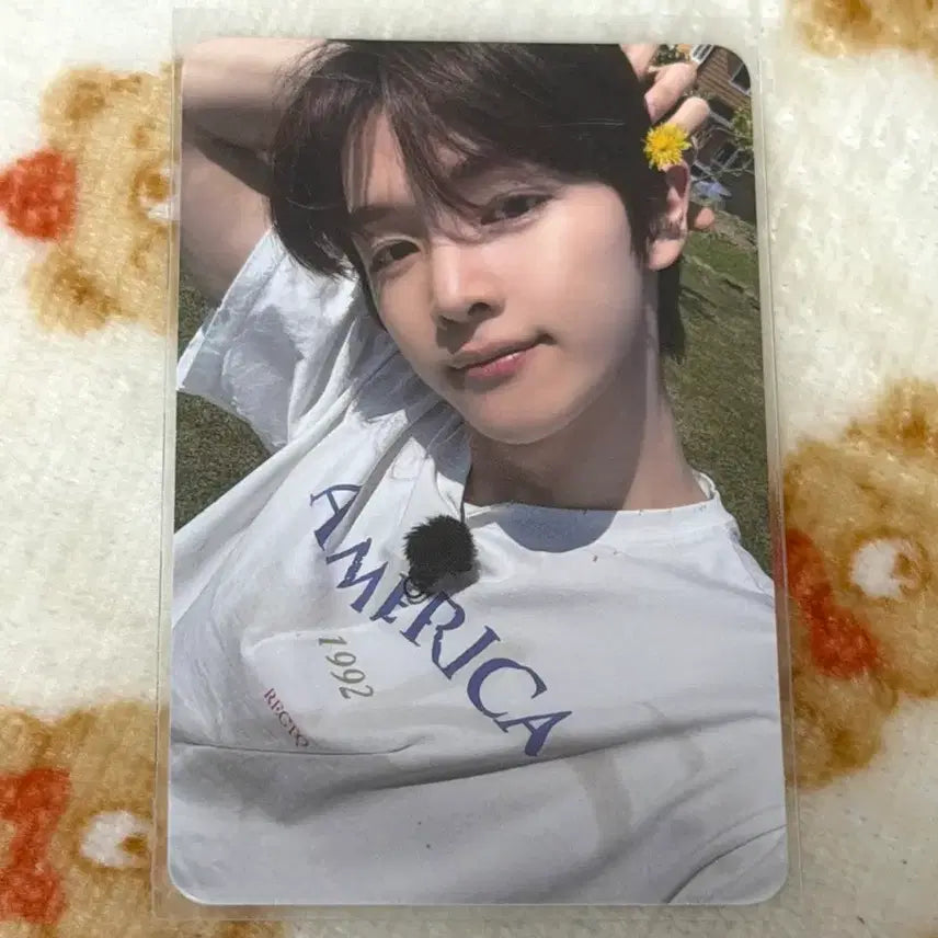 [BUNJANG] RIIZE Sungchan Dyd First Press Limited Edition Special Photocard Dandelion / 라이즈 성찬 dyd 초회한정반 스페셜 포카 민들레 포토카드