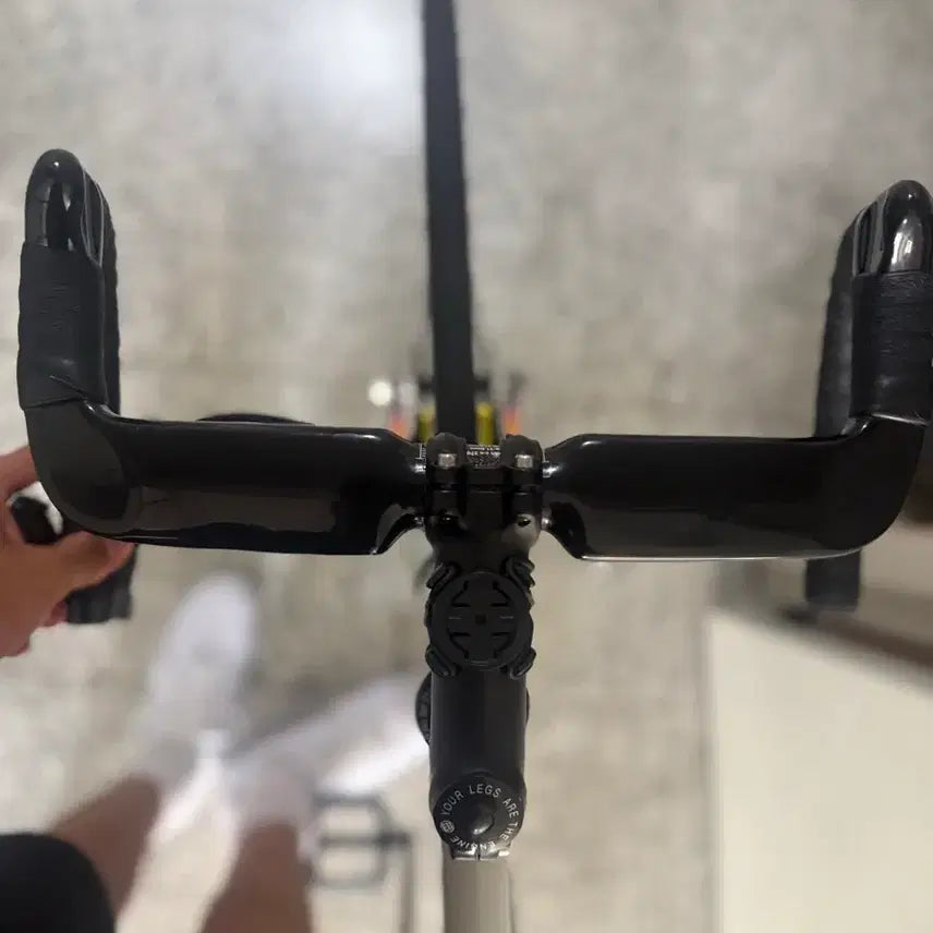 [BUNJANG] AliBanchi V35 Bicycle Frame / 알리번치바35사이즈 무하자급