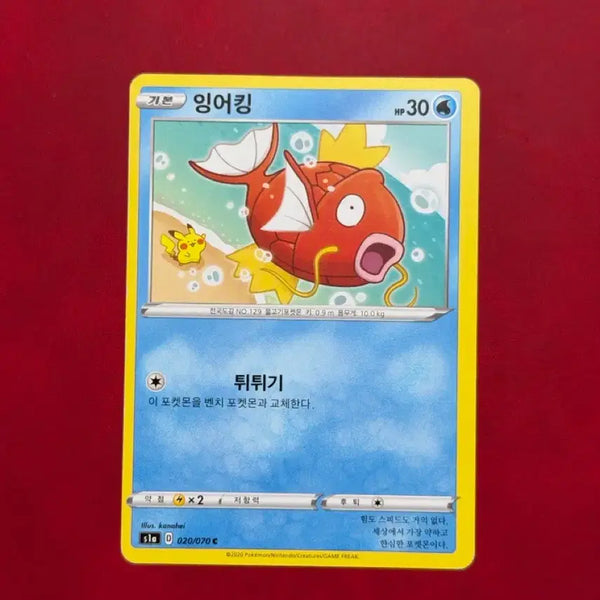 [BUNJANG] Kanahei Magikarp (Pikachu) Misaligned Vintage Pokemon Card / 귀여운 포켓몬 고전 카드 카나헤이 잉어킹(피카츄) 쏠림