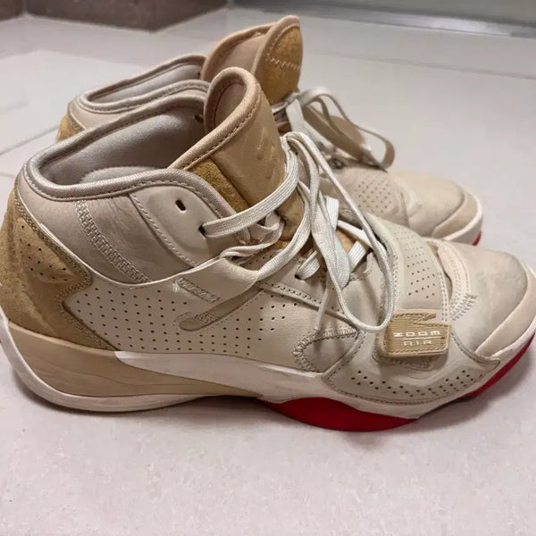 [BUNJANG] Basketball Shoes with Air Cushioning / (교환 환영) 자이언2
