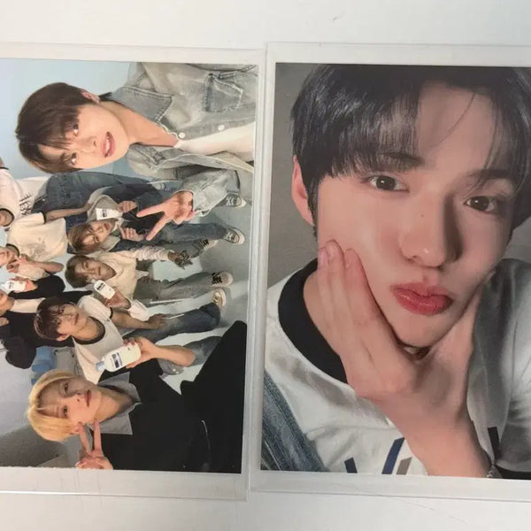 [BUNJANG] Bring Green Sanghyun Group Photocard / 알디원 브링그린 상현 단체
