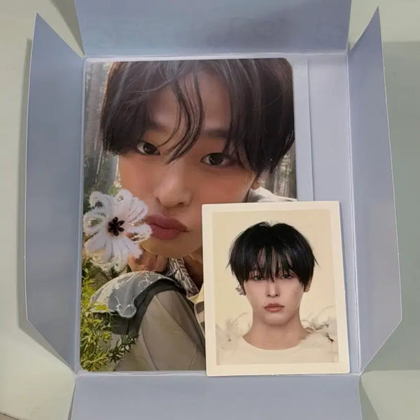 [BUNJANG] NCT WISH ODD TO LOVE Biggie Mini Eros Riku Set Photocard Photo / 원가)엔시티위시 오드투러브 빅스미니 에로스 리쿠 증사 포카 세트 풀셋
