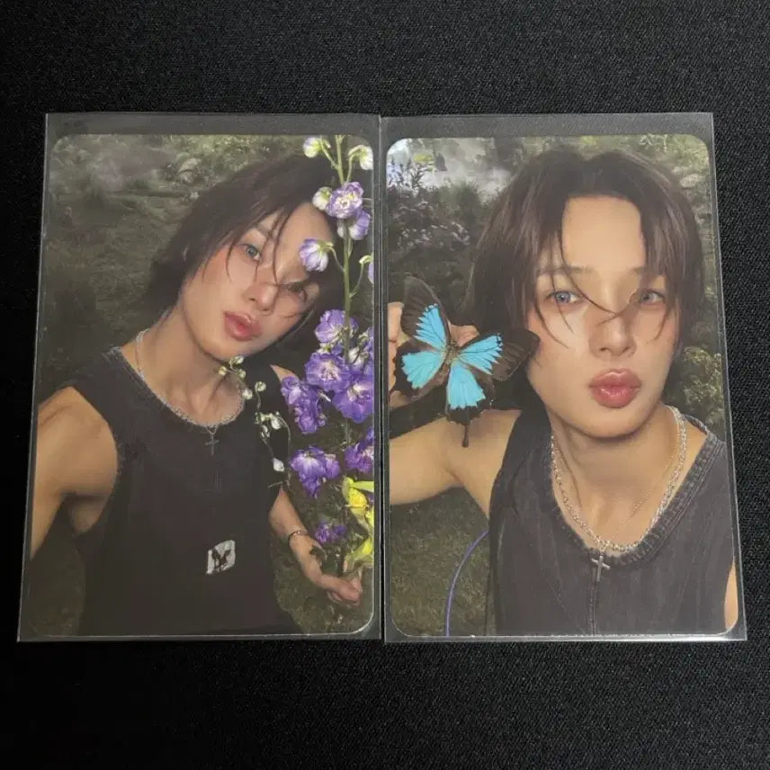 [BUNJANG] ENHYPEN K Back to the Light Photocard Bundle Set / 앤팀 케이 백투라 앨포 일괄양도