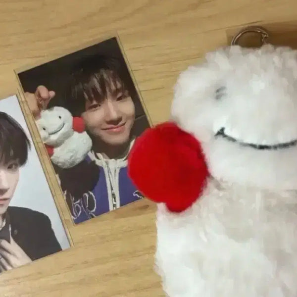[BUNJANG] BOYNEXTDOOR Woonghee 1st Gen Fanclub Doll Photocard / 보이넥스트도어 보넥도 쁘넥도 1기 운아기 운학 인형 포카