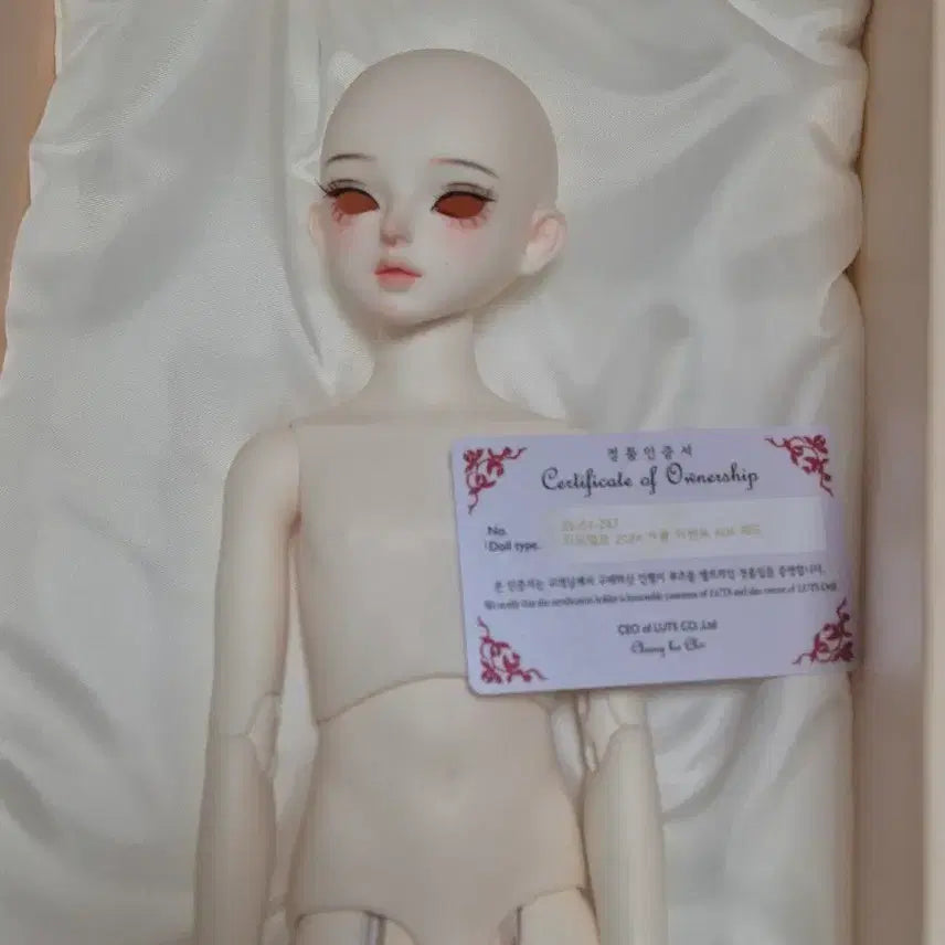 [BUNJANG] LUTS 2024 Winter Event Head + Kid Delf Boy Body / 루츠 2024 겨울 이벤트 헤드 + 루츠 키드델프 남아바디 판매