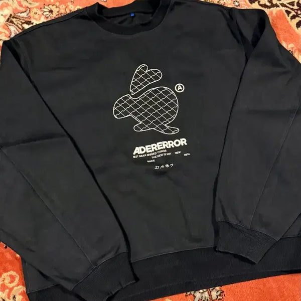 [BUNJANG] Ader Error Twinny Logo Sweatshirt Noir / [A3] 아더에러 Twinny Logo Sweatshirts Noir