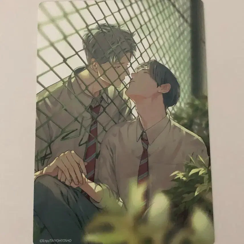 [BUNJANG] Rabbit's Forest Vol. 1 First Edition Limited Edition Postcard Card / 1차비엘 1차bl 토끼의 숲 1권 초판 한정 엽서 카드