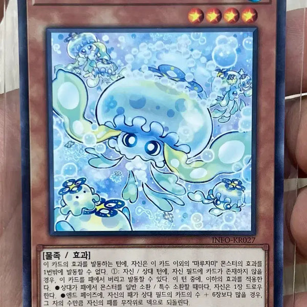[BUNJANG] Maruchami Fururia INFO-KR027 Rare / 마루챠미 푸루리아 INFO-KR027 레어