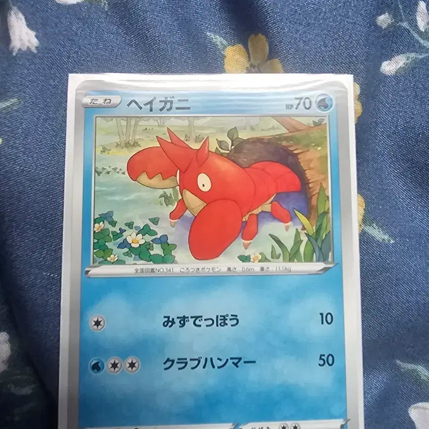 [BUNJANG] Pokemon Card Japanese Version Haganeil / 포켓몬 카드 일어판