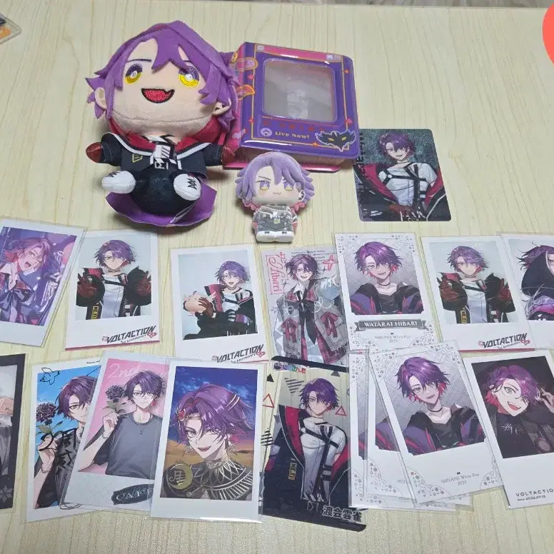 [BUNJANG] Watarai Hibari Nui Figure Photocard Binder / [급처] 와타라이 히바리 누이 피규어 포카 포카바인더