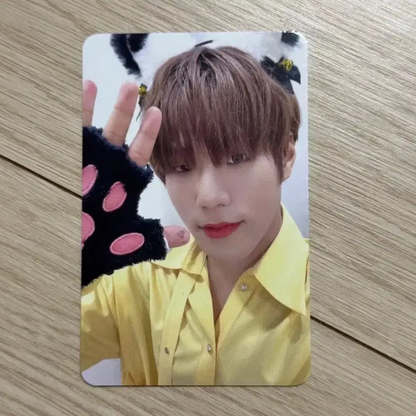 [BUNJANG] DARK MOVIE Junseo Anniluv Makestar Cat POB Photocard / 다크비 준서 아닛럽 메이크스타 고양이 미공포 특전 포카
