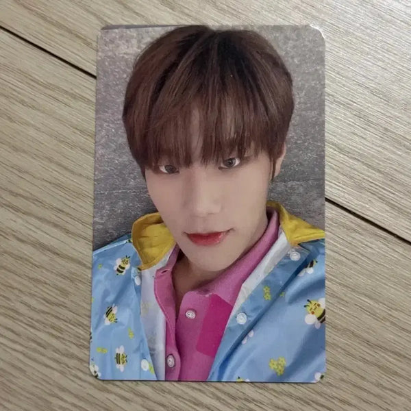[BUNJANG] DARK ORIGIN JUNSEO Anirub Makestar POB Photocard / 다크비 준서 아닛럽 메이크스타 우비 미공포 특전 포카