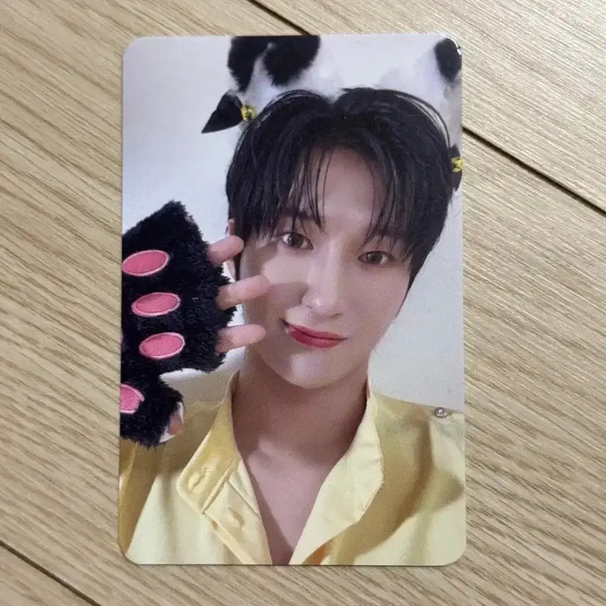 [BUNJANG] Darkbee Lee Chan Anniver. MakeStar Lucky Draw Photocard / 다크비 이찬 아닛럽 메이크스타 고양이 미공포 특전 포카