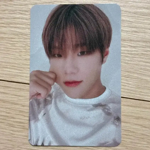 [BUNJANG] DKB Junseo Anirub Everline POB Photocard / 다크비 준서 아닛럽 에버라인 미공포 특전 포카