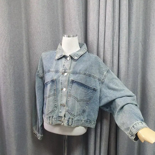 [BUNJANG] Denim Jacket / 데님 고급 자켓