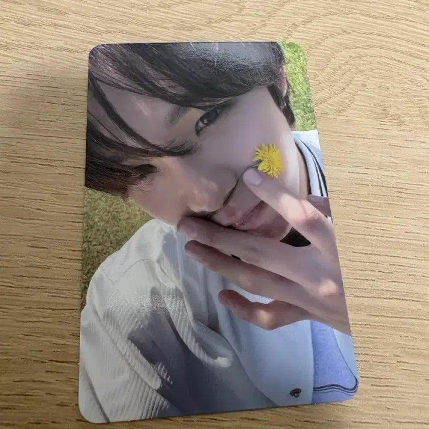 [BUNJANG] RIIZE Shotaro DYD First Press Limited Summer Break Photocard / 라이즈 쇼타로 dyd 초회한정 여름방학 포카 양도합니다