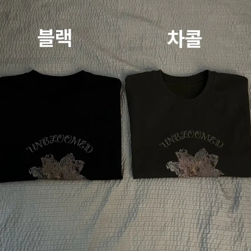 [BUNJANG] 2 Pack Begine 202 Dry Flower Crop Roll-up Short Sleeve T-Shirts / [3] [2PACK] 비긴202 드라이 플라워 크롭 롤업 반팔 티셔츠