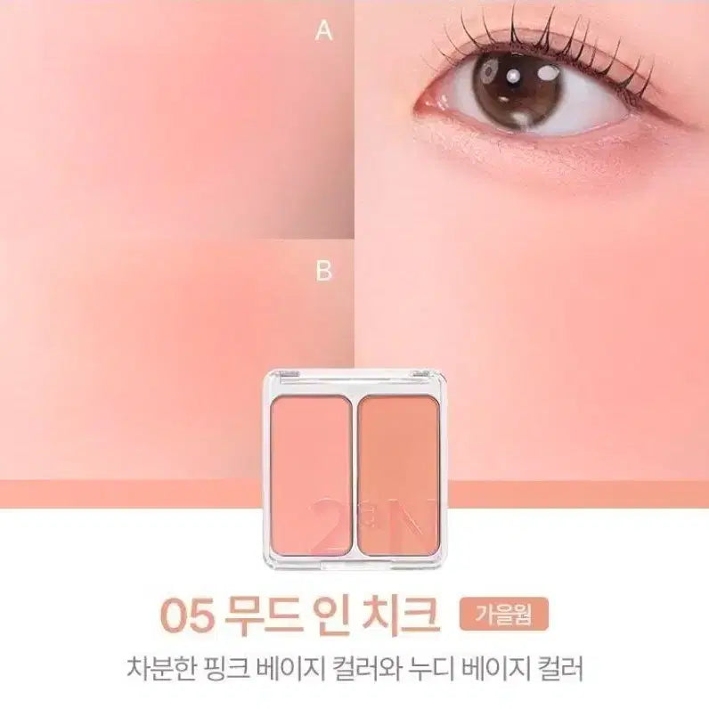 [BUNJANG] 2A(N) Dual Cheek Mood In Cheek / 투에이엔 듀얼치크 무드 인 치크