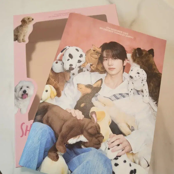 [BUNJANG] B1A4 Shinwoo Shinwoo's Favorite Box Photobook / 신유's favorite Box 포토북