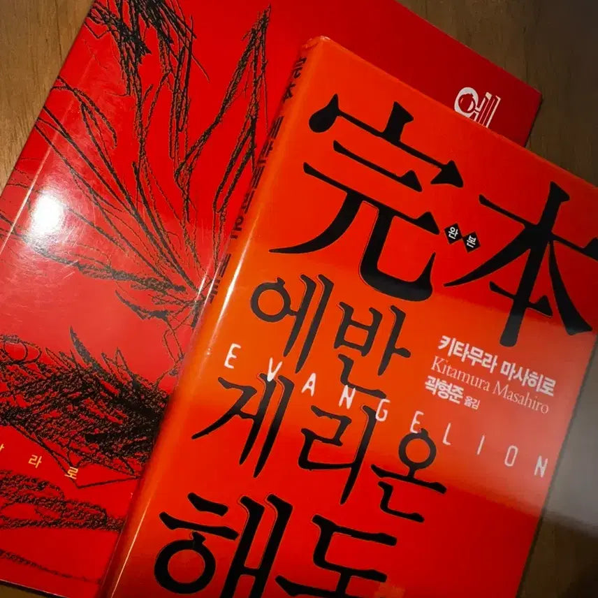 [BUNJANG] Evangelion Books Bundle Set / 에반게리온 책