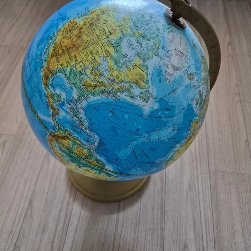 [BUNJANG] Educational Globe / 지구본