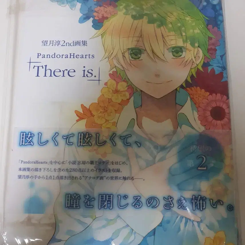 [BUNJANG] Pandora Hearts Artbook 2 "There is." / 판도라하츠 화집 2